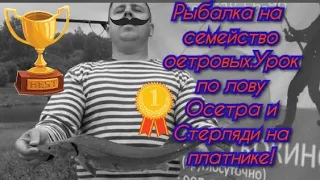 Рыбалка на семейство осетровых.Урок по лову Осетра и Стерляди на практике!