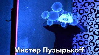 Неоновое шоу мыльных пузырей | Мистер Пузырьков | Мистер Пузырькоff