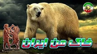 مستند فارسی - طبیعت روسیه - قطب شمال ★