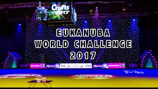 Eukanuba World Challenge 2017