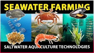 Seawater Farming (Mariculture) | Saline / Saltwater Agriculture | Aquaculture