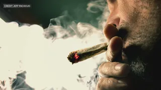 Could smoking weed legally hurt or help Florida? | Miami Life