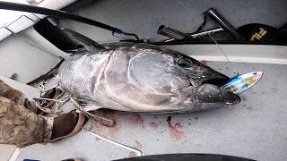 Bluefin Tuna eats Madmacs on the retrieve