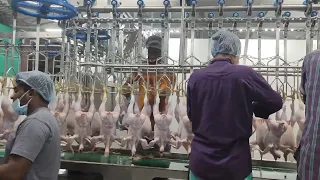 1000 Birds per hour poultry processing plant, Deccan automation technology, pune