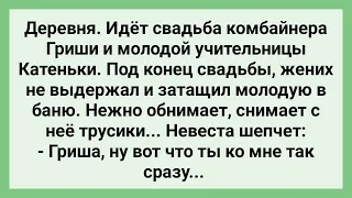 Жених Комбайнер Затащил Невесту в Баню! Сборник Свежих Смешных Жизненных Анекдотов!