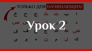 Арабский Алфавит За 5 Уроков Выучить БУКВЫ!