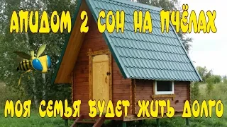 АПИДОМ СВОИМИ РУКАМИ. СТРОИТЕЛЬСТВО АПИДОМА. СОН НА ПЧЁЛАХ. НА 1000 000 ПЧЁЛ БОЛЬШЕ.