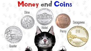 Money and Coins for Kids | Kindergarten, 1st Grade & 2nd Grade | Noodle Kidz