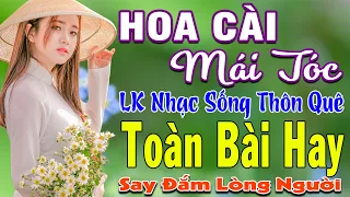 HOA CÀI MÁI TÓC ➤ MAI TIẾN ĐẠT ➤ LK Nhạc Sống Thôn Quê Toàn Bài Hay KHÔNG QUẢNG CÁO NGỌT LỊM TIM