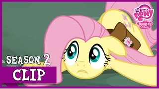 Fluttershy The Doormat (Putting Your Hoof Down) | MLP: FiM [HD]