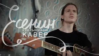 Есенин (Пой же пой) - Кукрыниксы кавер на гитаре