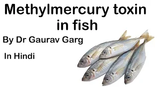 Methylmercury Toxin in fish caused by Ocean warming & increased Overfishing #UPSC #IAS #UPSC2020