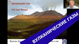 Вулканология. Лекция 6. Вулканические газы и гидротермы. Таран Юрий Александрович, 2021 г. МГУ