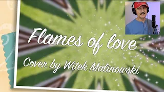 Flames of Love, Cover by Witek Malinowski