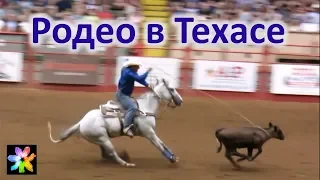 🐎 Родео - турнир ковбоев в Техасе. Стокъярдс, Форт Уорт