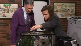 Mister Rogers' Unexpected Response to Quiet Fish (1999)