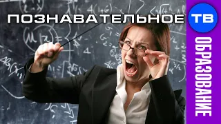 Школьное производство ДЕБИЛОВ (Познавательное ТВ, Михаил Величко)