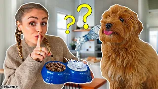 PRANKER BALOO MED DANSKVAND *vlog*