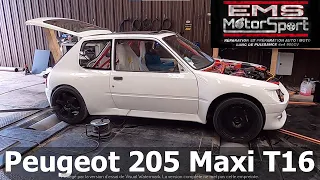 EMS Motorsport : Peugeot 205 Maxi T16 Coca Cola édition !!