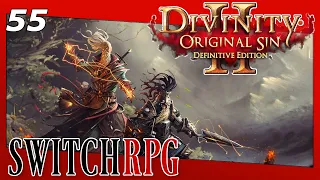 Divinity: Original Sin 2 - Definitive Edition - Nintendo Switch Gameplay - Episode 55