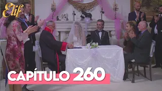 Elif Segunda Temporada Capítulo 260 | Elif Capítulo 260