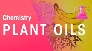 The Extraction Of Plant Oils | Organic Chemistry | Chemistry | FuseSchool