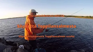 Säynettä Toppilansalmesta