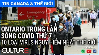 🔴TIN CANADA & TG 07/07 | Bất động sản hạ nhiệt ở Toronto, Vancouver, Ottawa