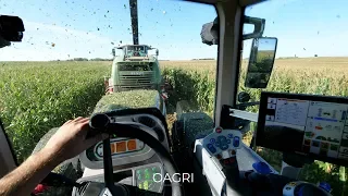 DU RÉVEIL A LA DERNIÈRE BENNE : JE ROULE AUX MAIS 2019 ! 💪🎥🚜