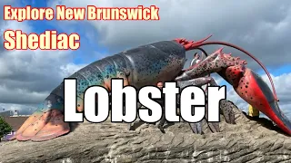 🇨🇦 66- Explore New Brunswick - The world's largest lobster at Shediac New Brunswick