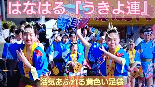 阿波踊り『うきよ連』明るい子供達が主役、あどけない笑顔で皆真剣！