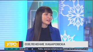 Озеленение Хабаровска. Утро с Губернией. 20/02/2020. GuberniaTV