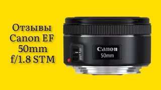 Стоит ли покупать объектив Canon EF 50mm f/1.8 STM отзывы тихий светлый резкий по карману классный