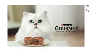 Comida húmeda para gatos | Purina Gourmet® Gold Fondant 20"