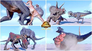 Scorpios Rex VS All Dinosaurs Fighting & Killing Animations🦖 Jurassic World Evolution 2 Scorpius Rex