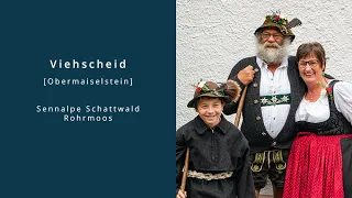 Viehscheid Obermaiselstein | unterwegs mit der Sennalpe Schattwald