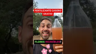 1 Solo INGREDIENTE Y Tus Plantas EXPLOTARAN De FLORES! Fertilizante Casero GRATIS