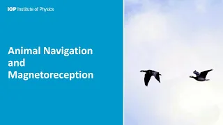 Animal Navigation and Magnetoreception - a talk by Dr Kirill Kavokin, hosted by IOP West Midlands