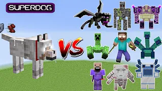 SuperDog vs All Minecraft Bosses,Notch,Ender Dragon,Herobrine,SuperCat,Hydra - Minecraft Mob Battle