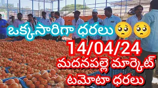 14-04-24 Madanapalle Tomato Market price Today || Today Tomato Market Rate in Madanapalle #today