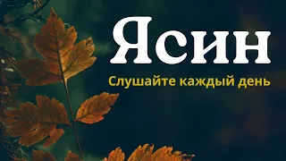 Сура ЯСИН СЛУШАЙТЕ КАЖДЫЙ ДЕНЬ (47) #сура #ясин