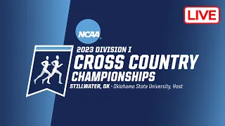 NCAA Cross Country Championships 2023 Live Stream - Full Race