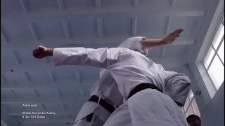 Atemi Waza. Shotokan karate. Dormenko Andrey 8 dan ISKF