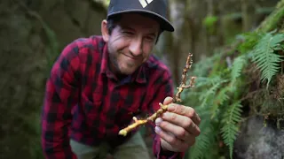 Foraging in a lush Canadian forest | #HelloSpringCBC