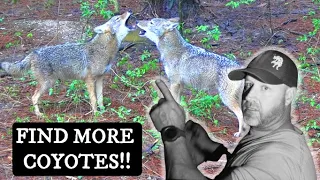 How To FIND COYOTES! LOCATING COYOTES Explained In Detail For DAY or NIGHT Coyote Hunting!