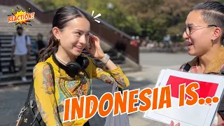 Japanese Reaction! What Do Japanese People Really Think About Indonesia? | Japanese, interview