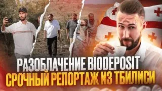 Разоблачение Biodeposit Тбилиси Кахетия #оливки, #Грузия, #Кахетия