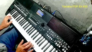 ВИА Сябры "Олеся" cover на синтезаторе Yamaha PSR SX-600
