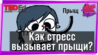 😭 Как стресс вызывает прыщи? #TED Ed на русском