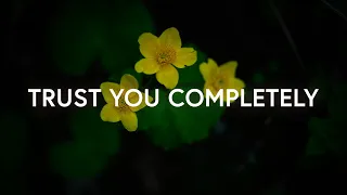 Bethany Music - Trust You Completely (Lyrics)